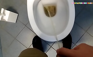 Ziopaperone2020 - SHORTS - I piss in a public toilet