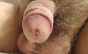 Penis Close Up 2