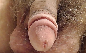 Penis Close Up